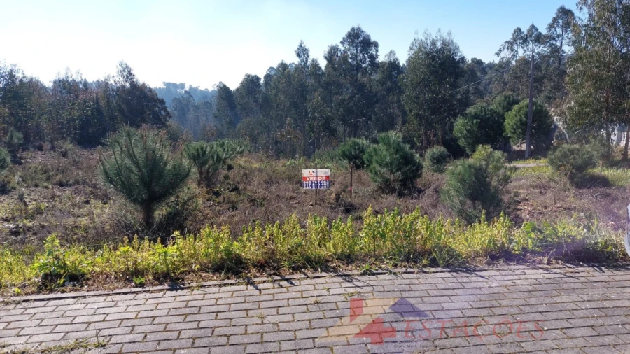 Terreno para Venda em Pombal Foto 8