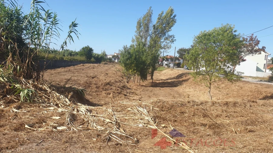 Terreno para Venda em Pombal Foto 5