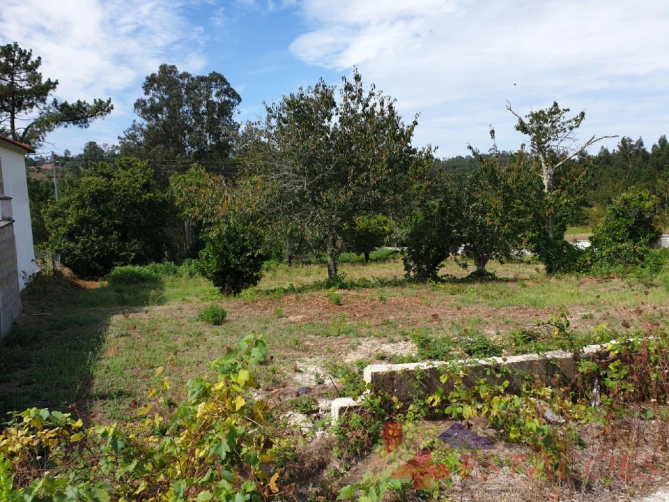 Terreno para Venda em Pombal Foto 1