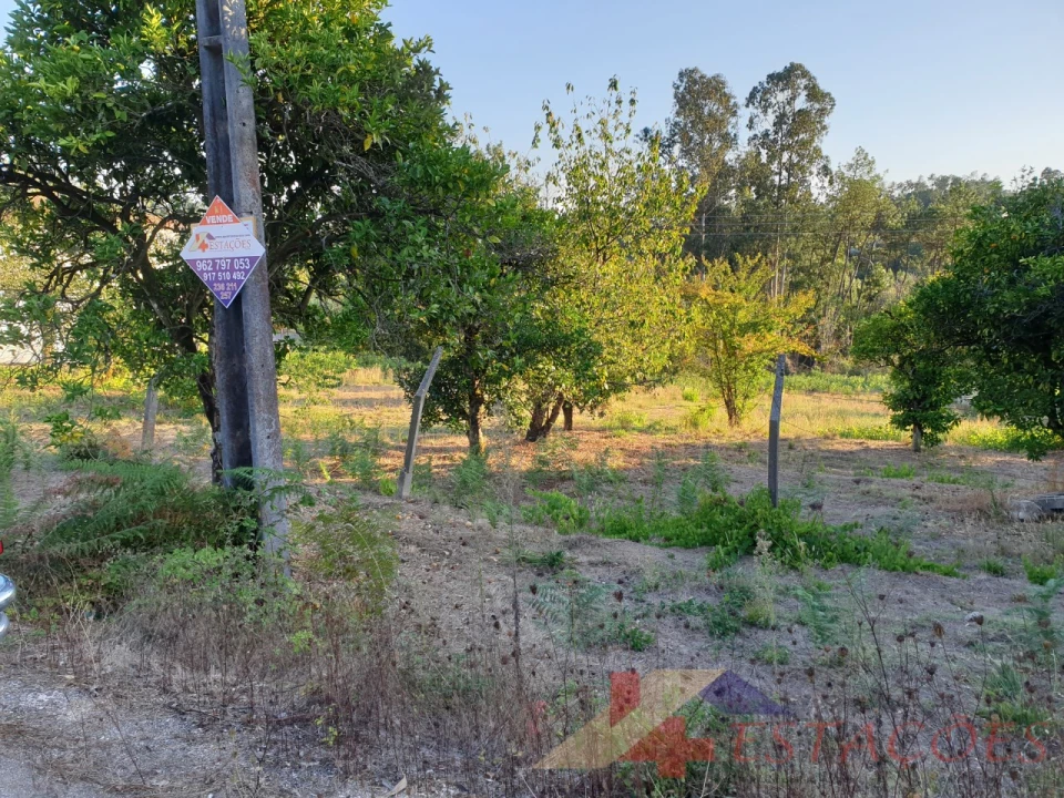 Terreno para Venda em Pombal Foto 8