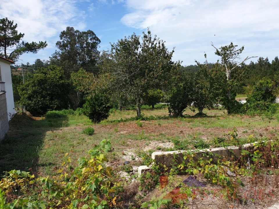 Terreno para Venda em Pombal Foto 9