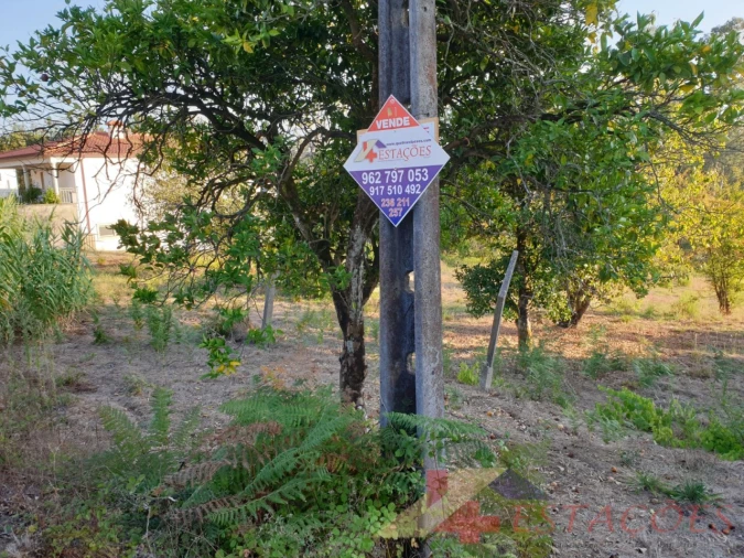 Terreno para Venda em Pombal Foto 3