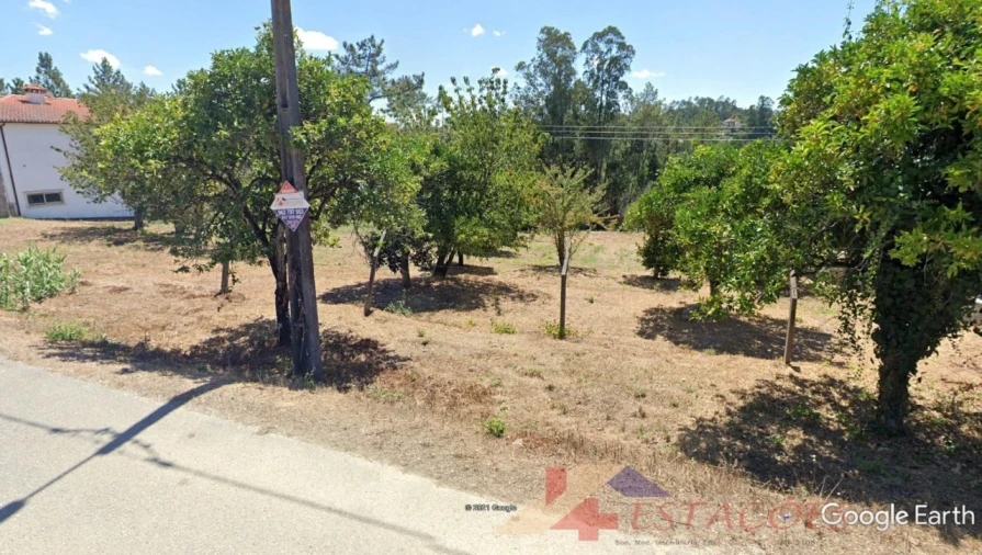 Terreno para Venda em Pombal Foto 6