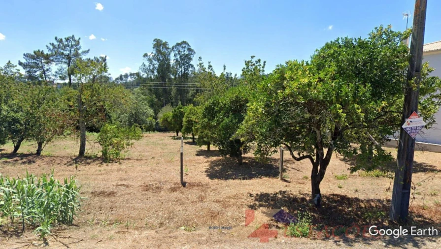 Terreno para Venda em Pombal Foto 7