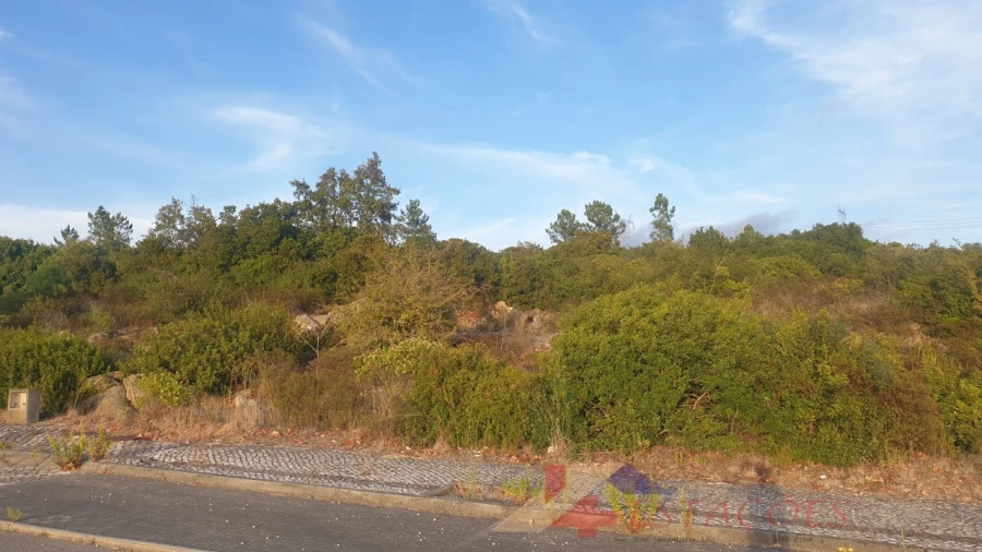 Terreno para Venda em Pombal Foto 3