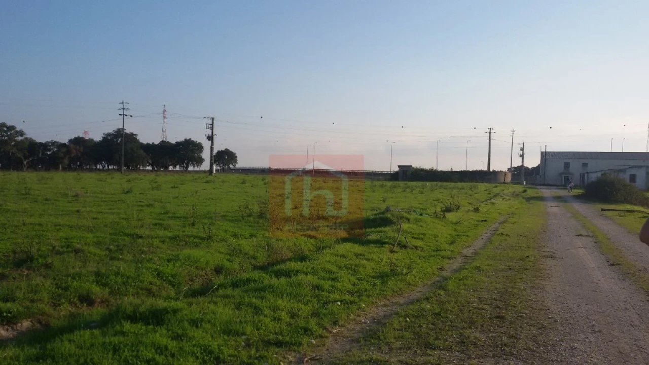 Terreno para Venda em Benavente Foto 6