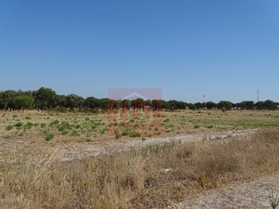 Terreno para Venda em Benavente Foto 17