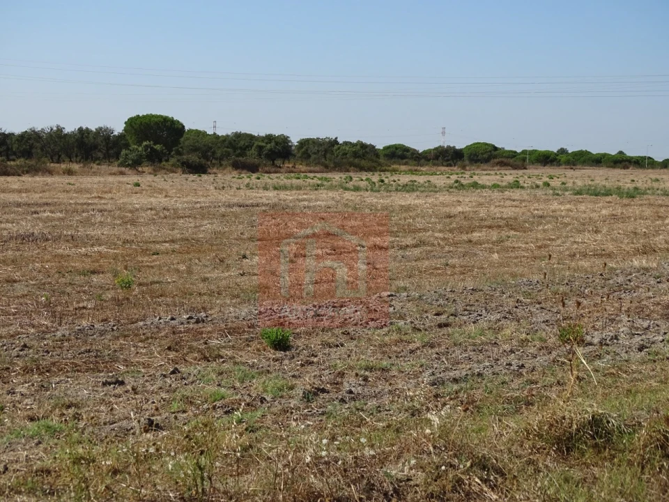 Terreno para Venda em Benavente Foto 19