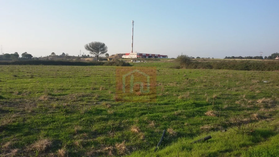 Terreno para Venda em Benavente Foto 7