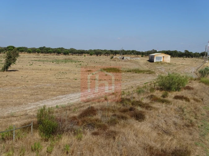 Terreno para Venda em Benavente Foto 11