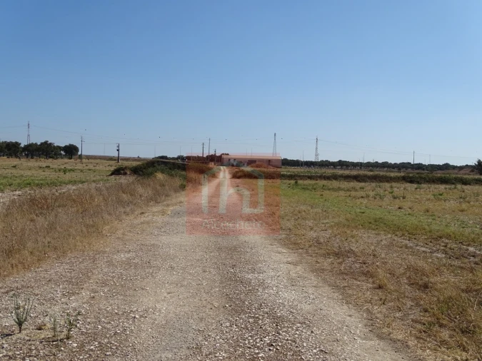 Terreno para Venda em Benavente Foto 15