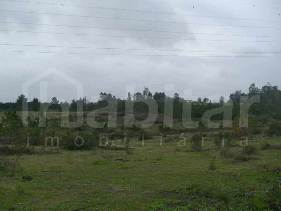 Terreno para Venda em Benavente Foto 2