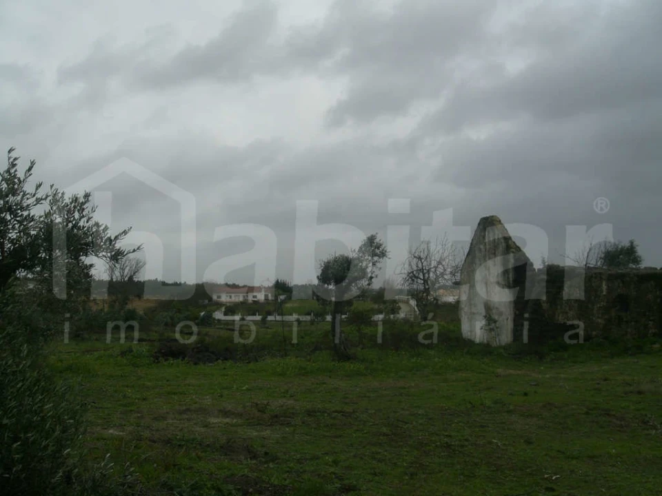 Terreno para Venda em Benavente Foto 5