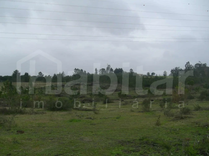 Terreno para Venda em Benavente Foto 2