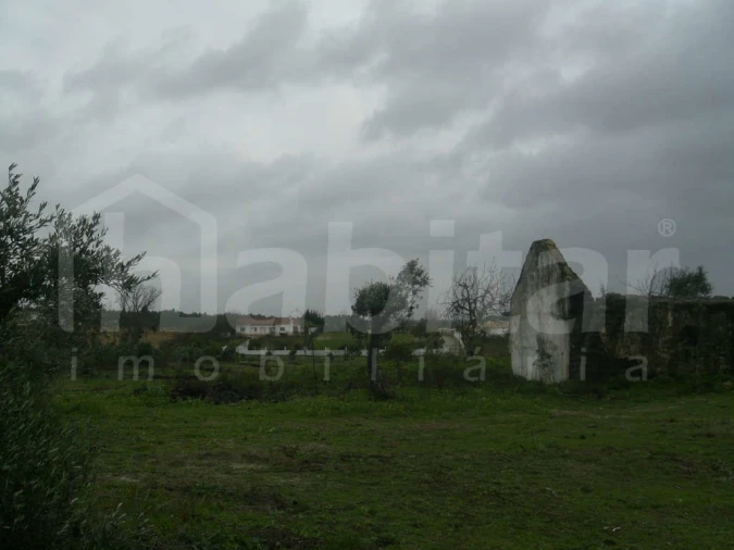 Terreno para Venda em Benavente Foto 5