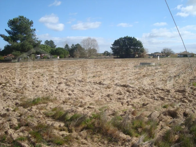 Terreno para Venda em Salvaterra de Magos e Foros de Salvaterra Foto 2
