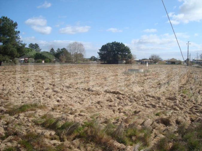 Terreno para Venda em Salvaterra de Magos e Foros de Salvaterra Foto 3