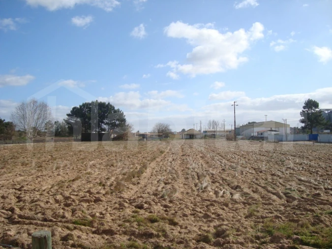Terreno para Venda em Salvaterra de Magos e Foros de Salvaterra Foto 4