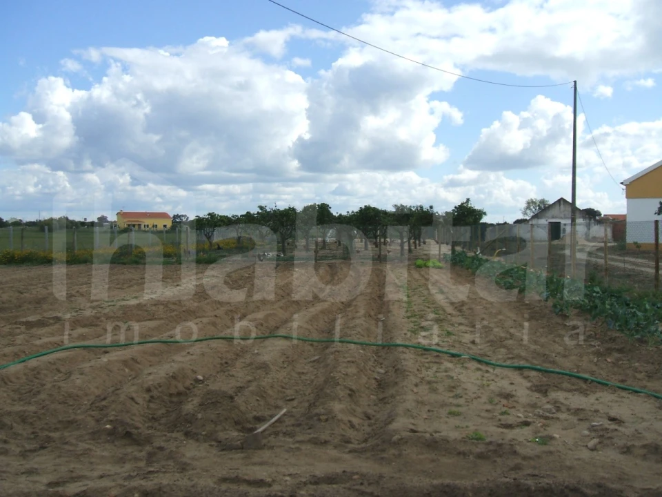 Terreno para Venda em Benavente Foto 4