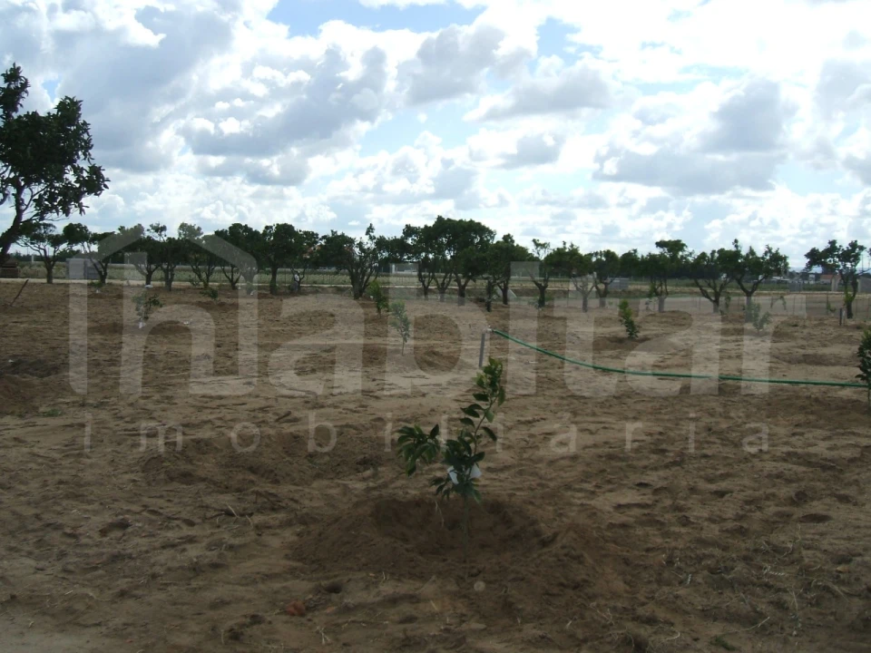 Terreno para Venda em Benavente Foto 6