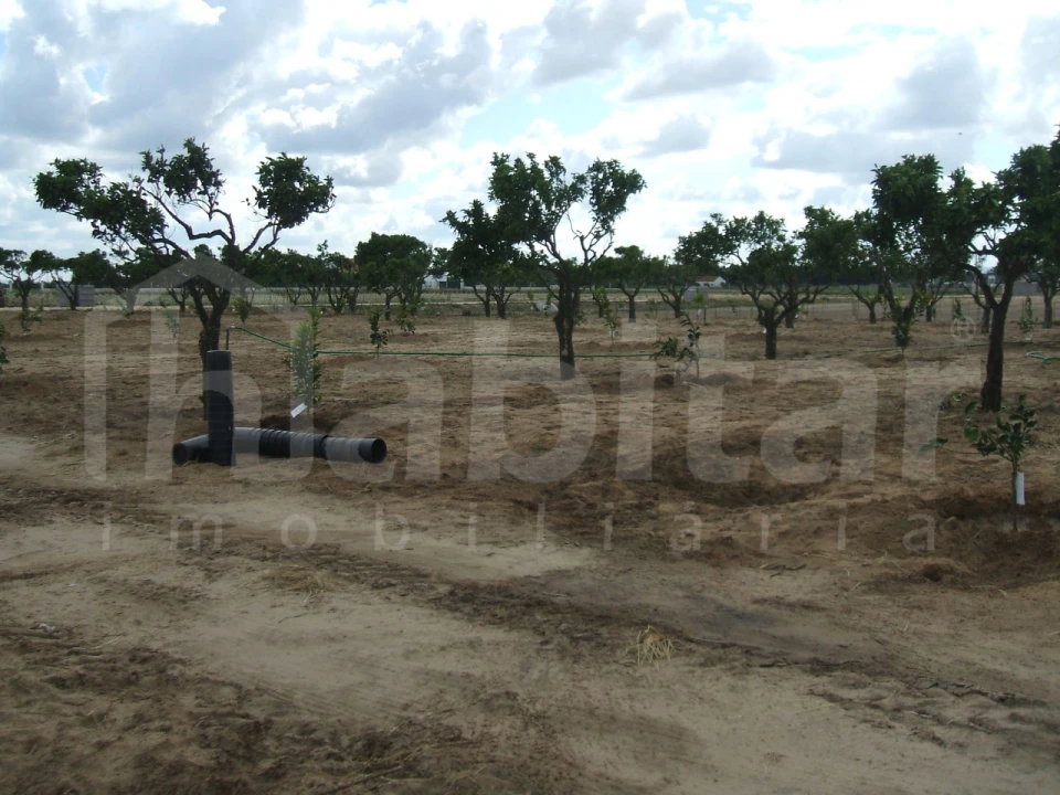 Terreno para Venda em Benavente Foto 7