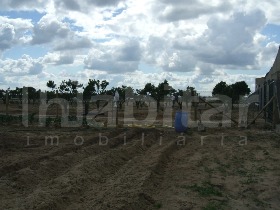 Terreno para Venda em Benavente Foto 8