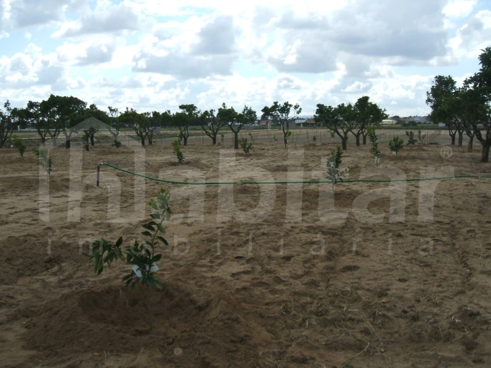 Terreno para Venda em Benavente Foto 9