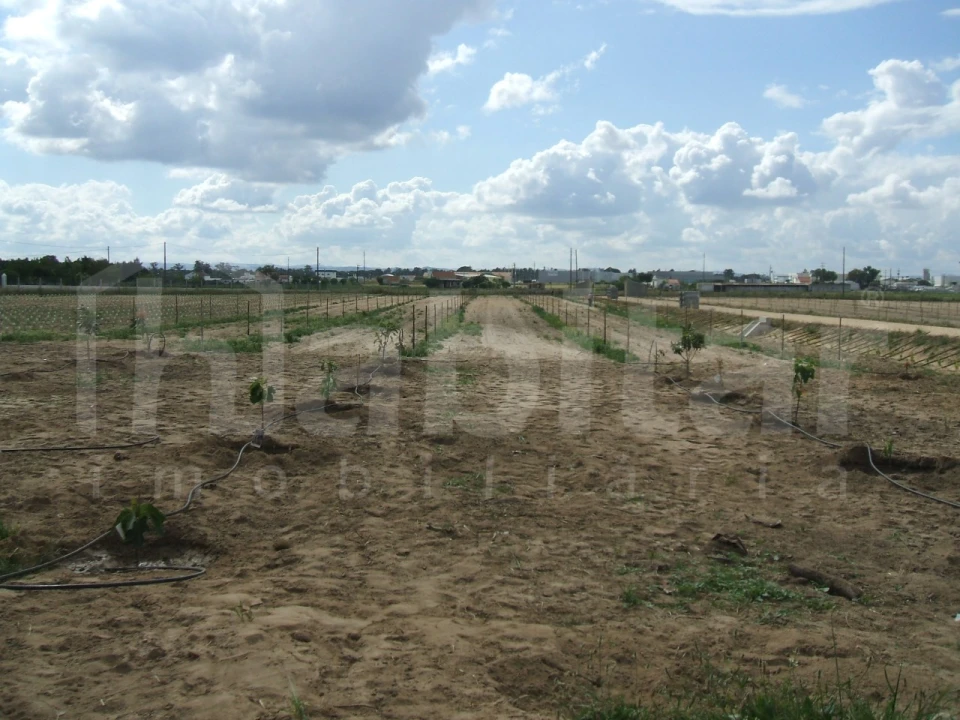 Terreno para Venda em Benavente Foto 12