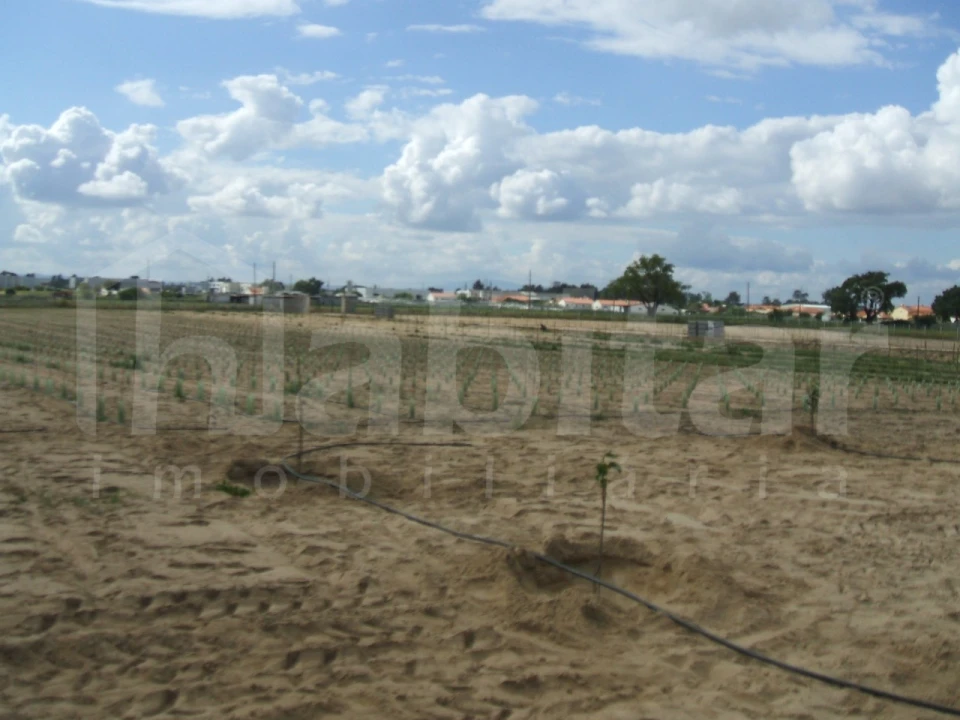 Terreno para Venda em Benavente Foto 15