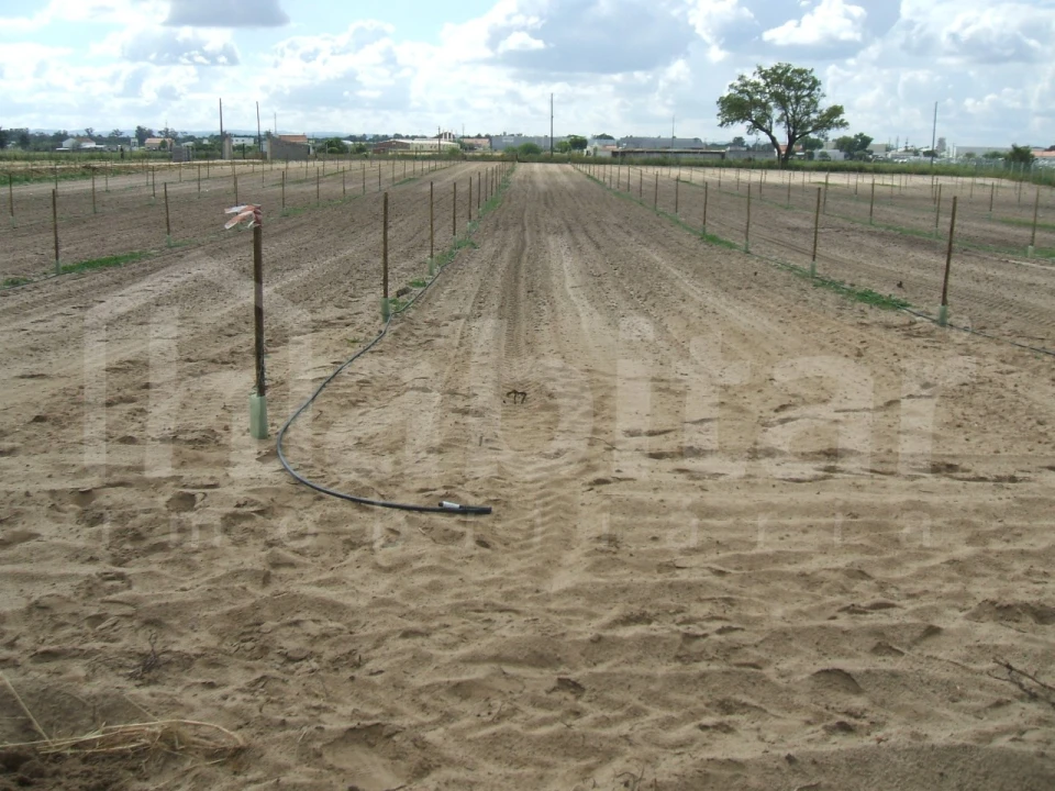 Terreno para Venda em Benavente Foto 18