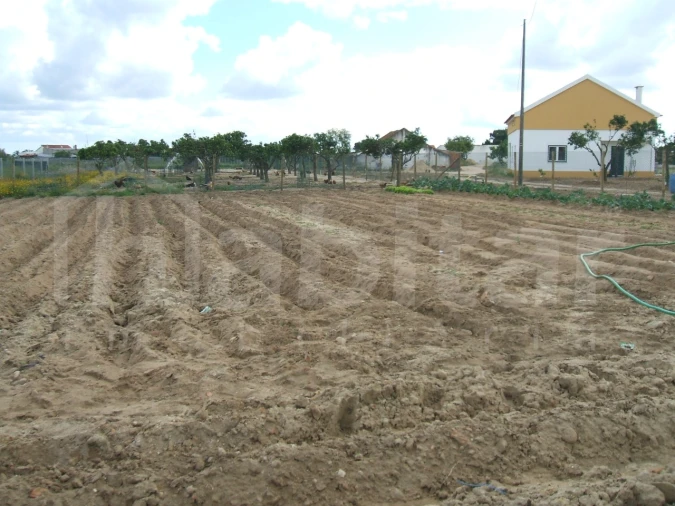 Terreno para Venda em Benavente Foto 2