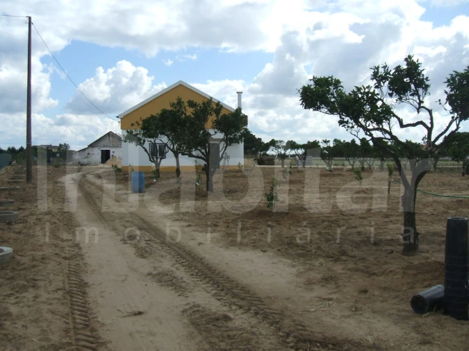 Terreno para Venda em Benavente Foto 3