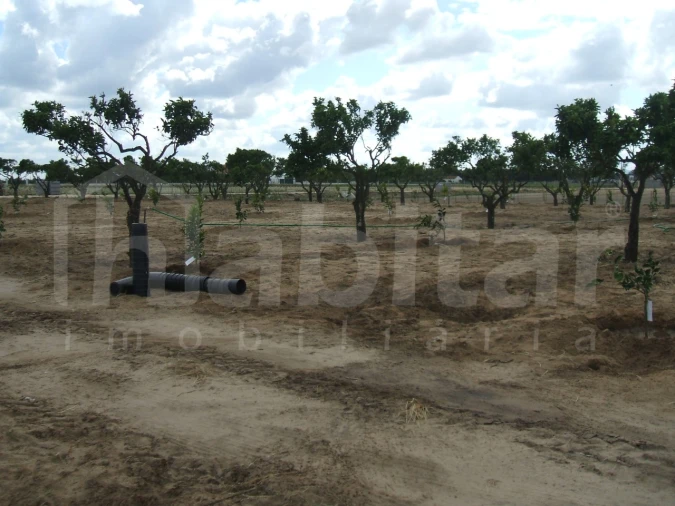 Terreno para Venda em Benavente Foto 7