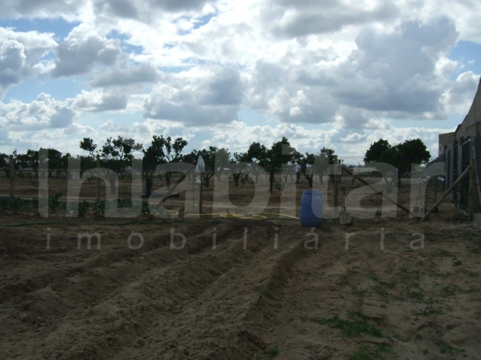 Terreno para Venda em Benavente Foto 8