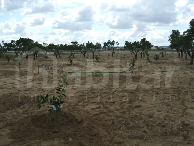 Terreno para Venda em Benavente Foto 9
