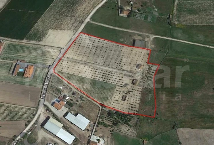 Terreno para Venda em Benavente Foto 19