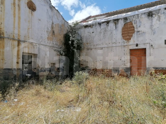 Terreno para Venda em Benavente Foto 9