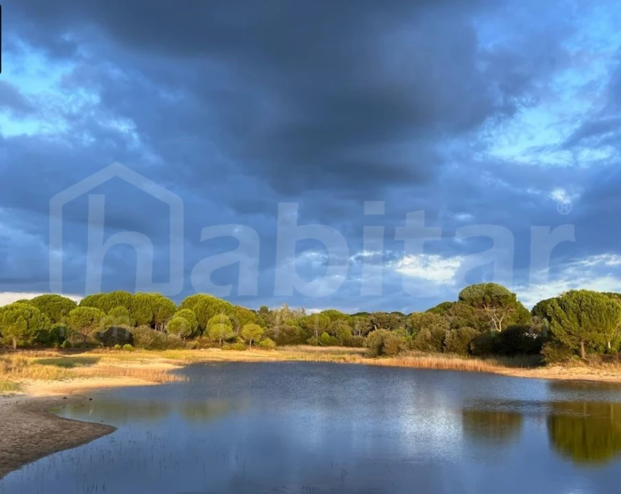 Terreno para Venda em Santo Estêvão Foto 4