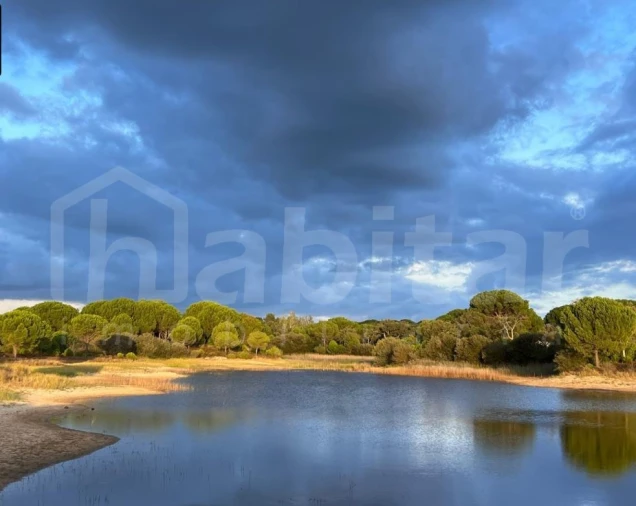 Terreno para Venda em Santo Estêvão Foto 4