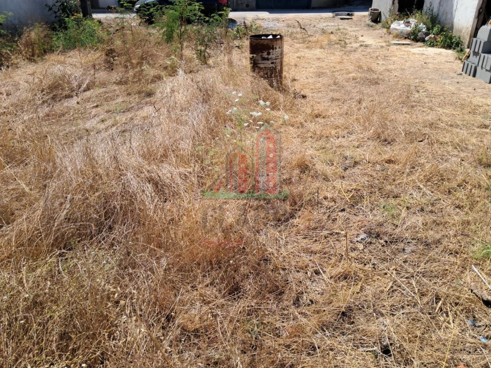 Terreno para Venda em São João do Campo Foto 3