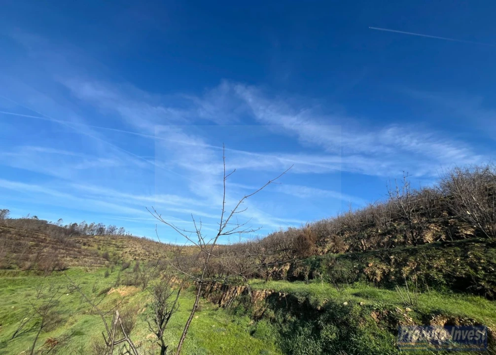 Quinta para Venda em Lavacolhos Foto 11