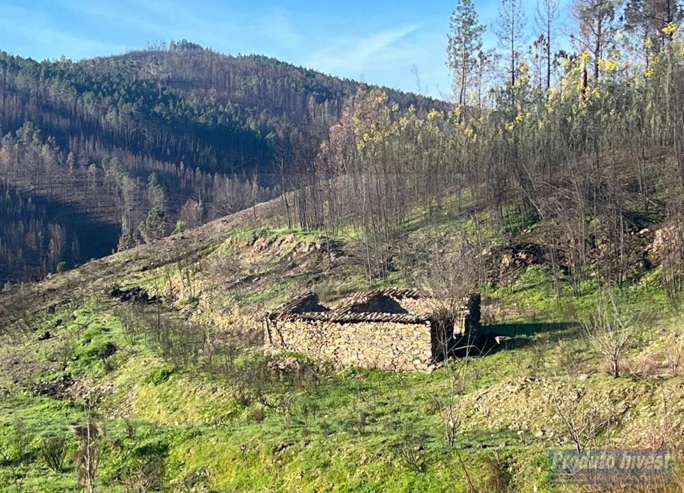 Quinta para Venda em Lavacolhos Foto 1