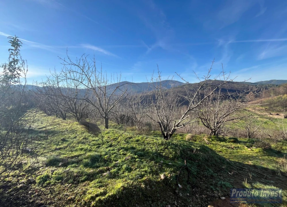 Quinta para Venda em Lavacolhos Foto 8