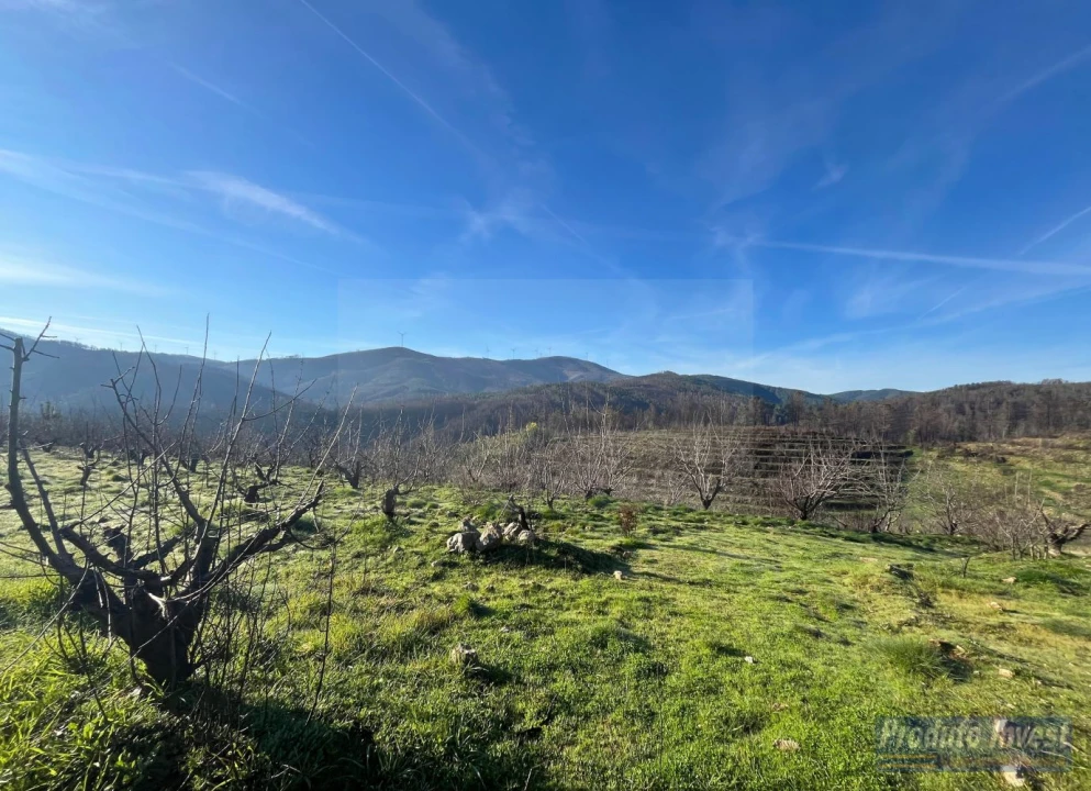 Quinta para Venda em Lavacolhos Foto 15