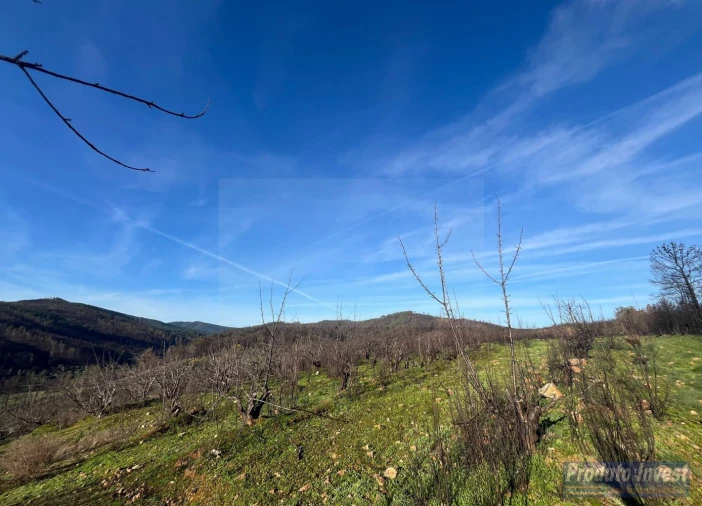 Quinta para Venda em Lavacolhos Foto 7