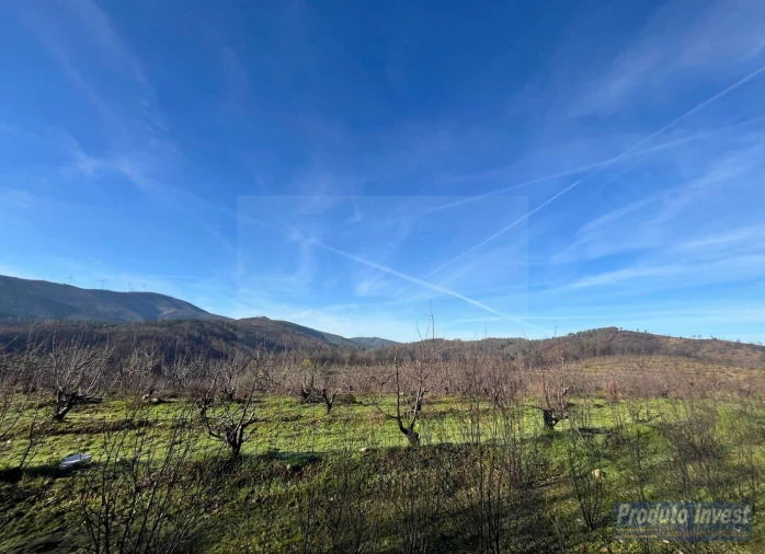 Quinta para Venda em Lavacolhos Foto 3