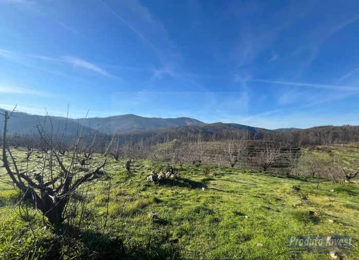 Quinta para Venda em Lavacolhos Foto 15