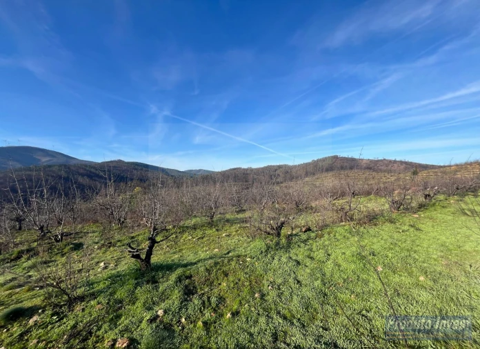 Quinta para Venda em Lavacolhos Foto 6
