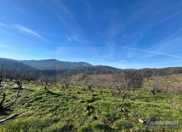 Quinta para Venda em Lavacolhos Foto 4