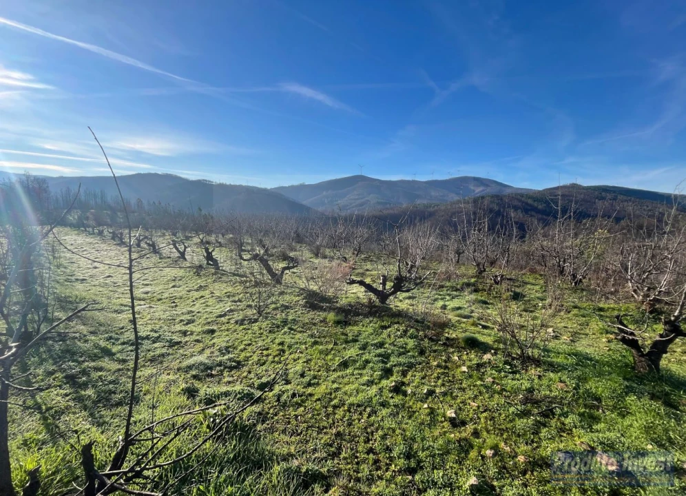 Quinta para Venda em Lavacolhos Foto 2
